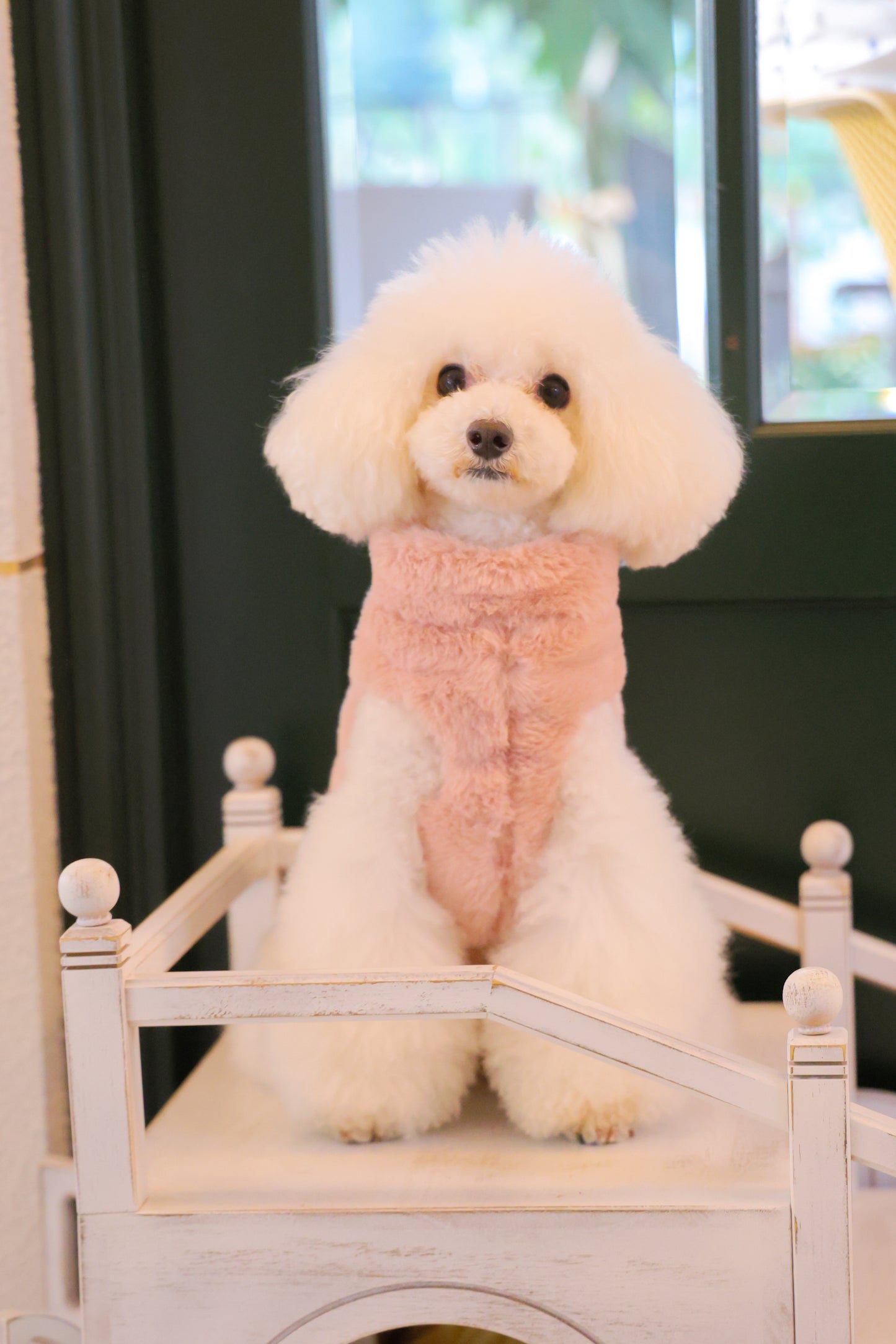 FUR HARNESS