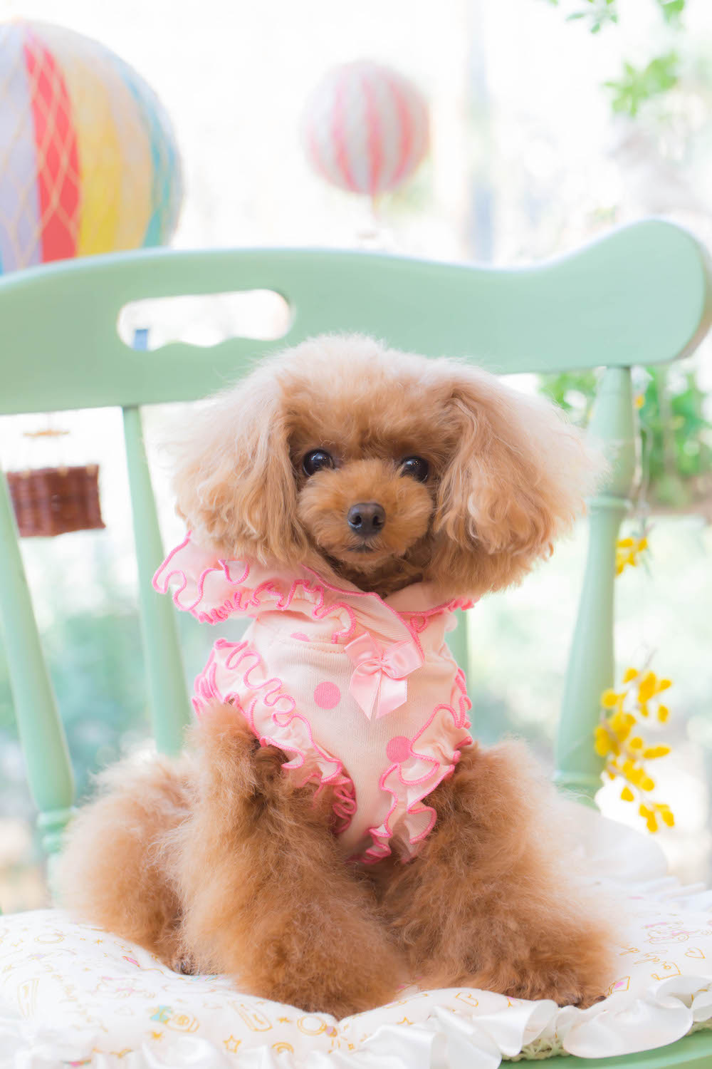 DOT Ribbon Frill パーカー