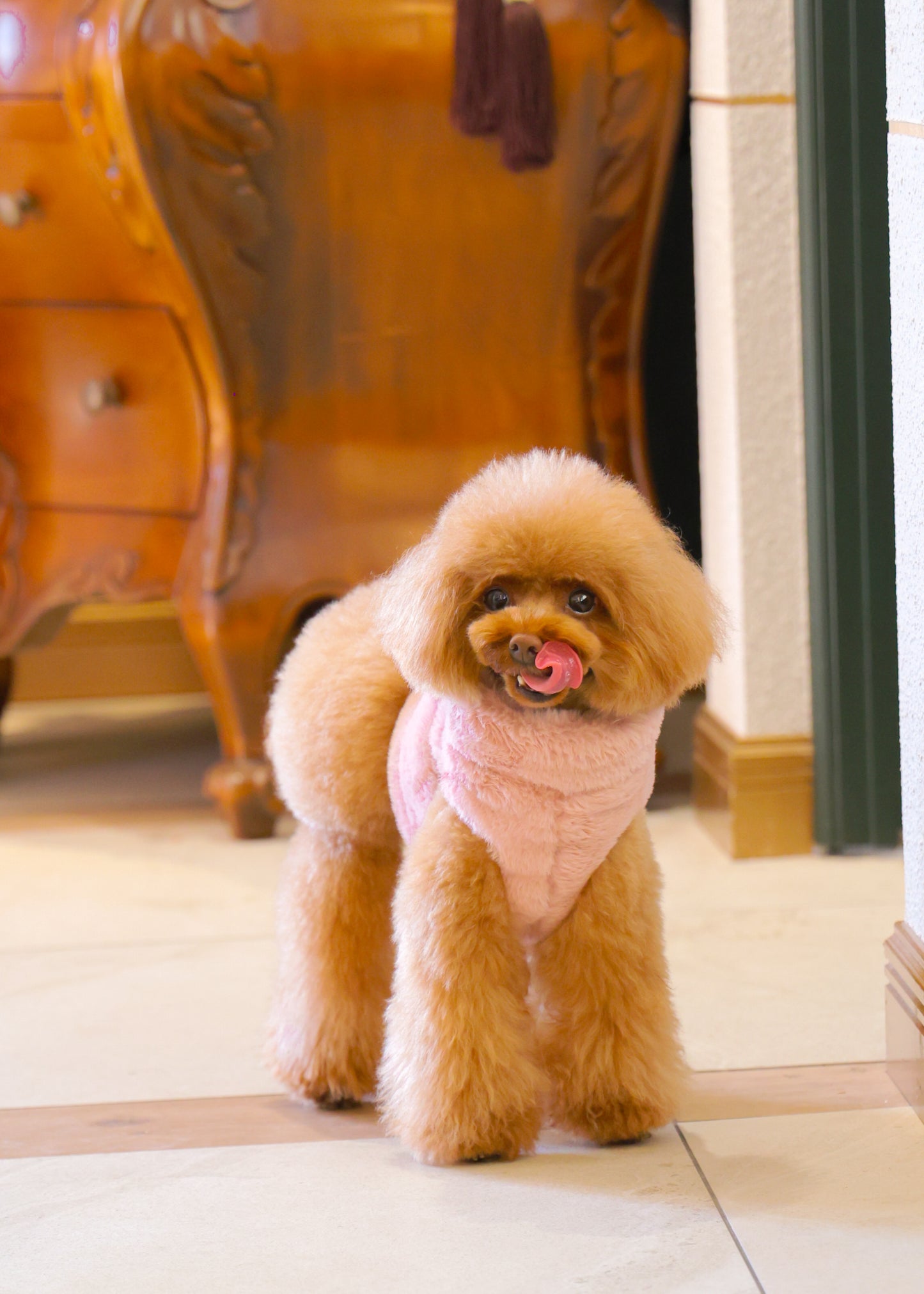 FUR HARNESS