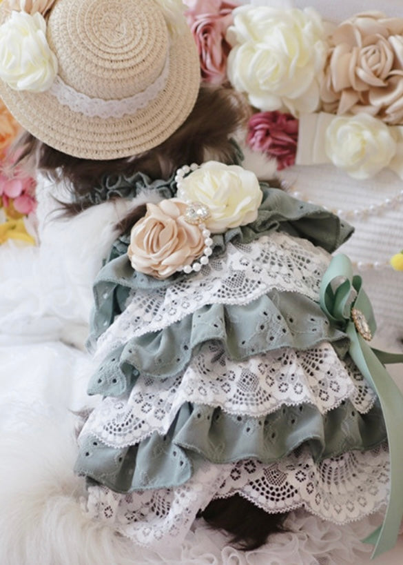 SUNKISSED DRESS