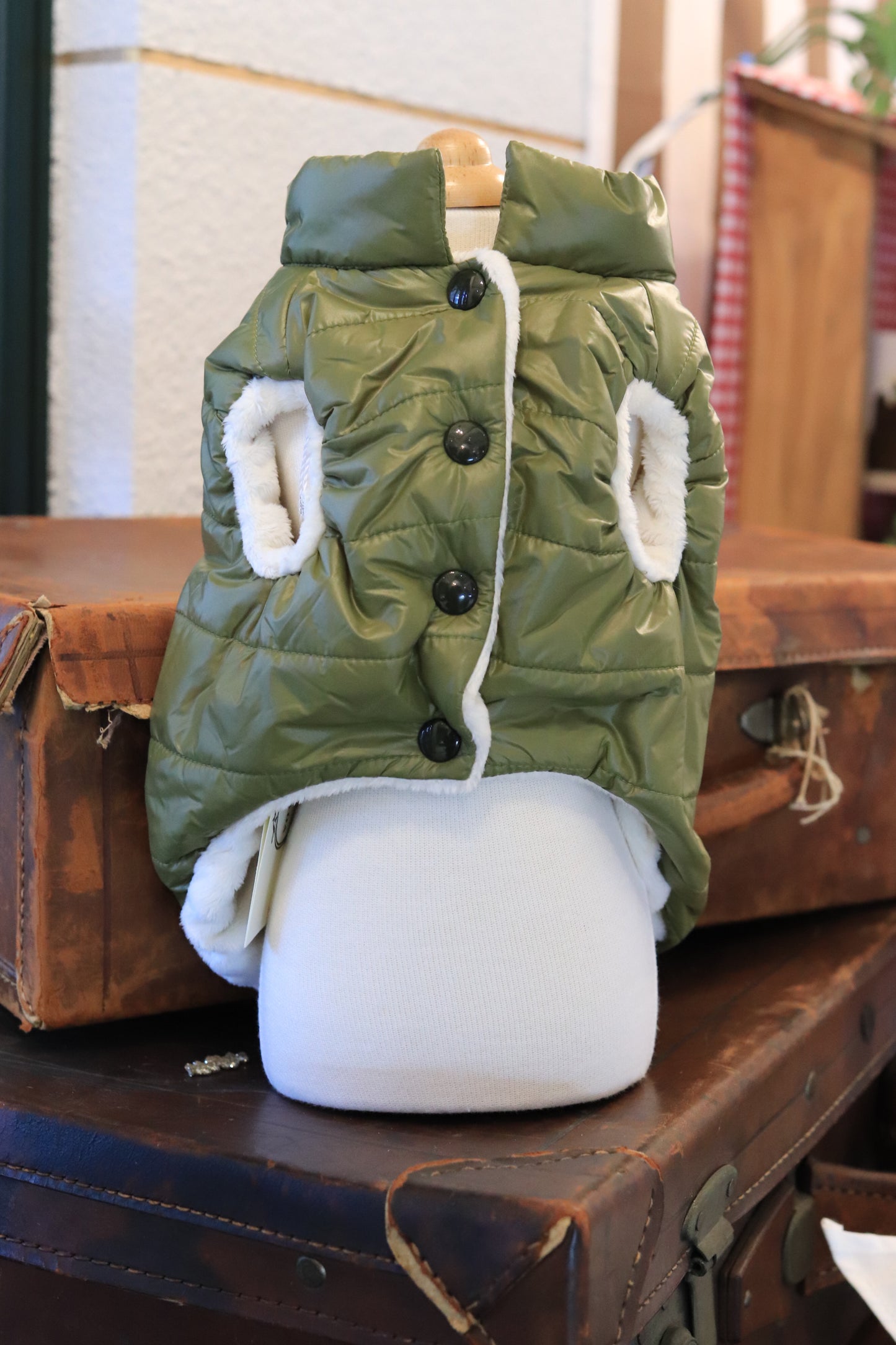 BOY 4PAWS PUFFER
