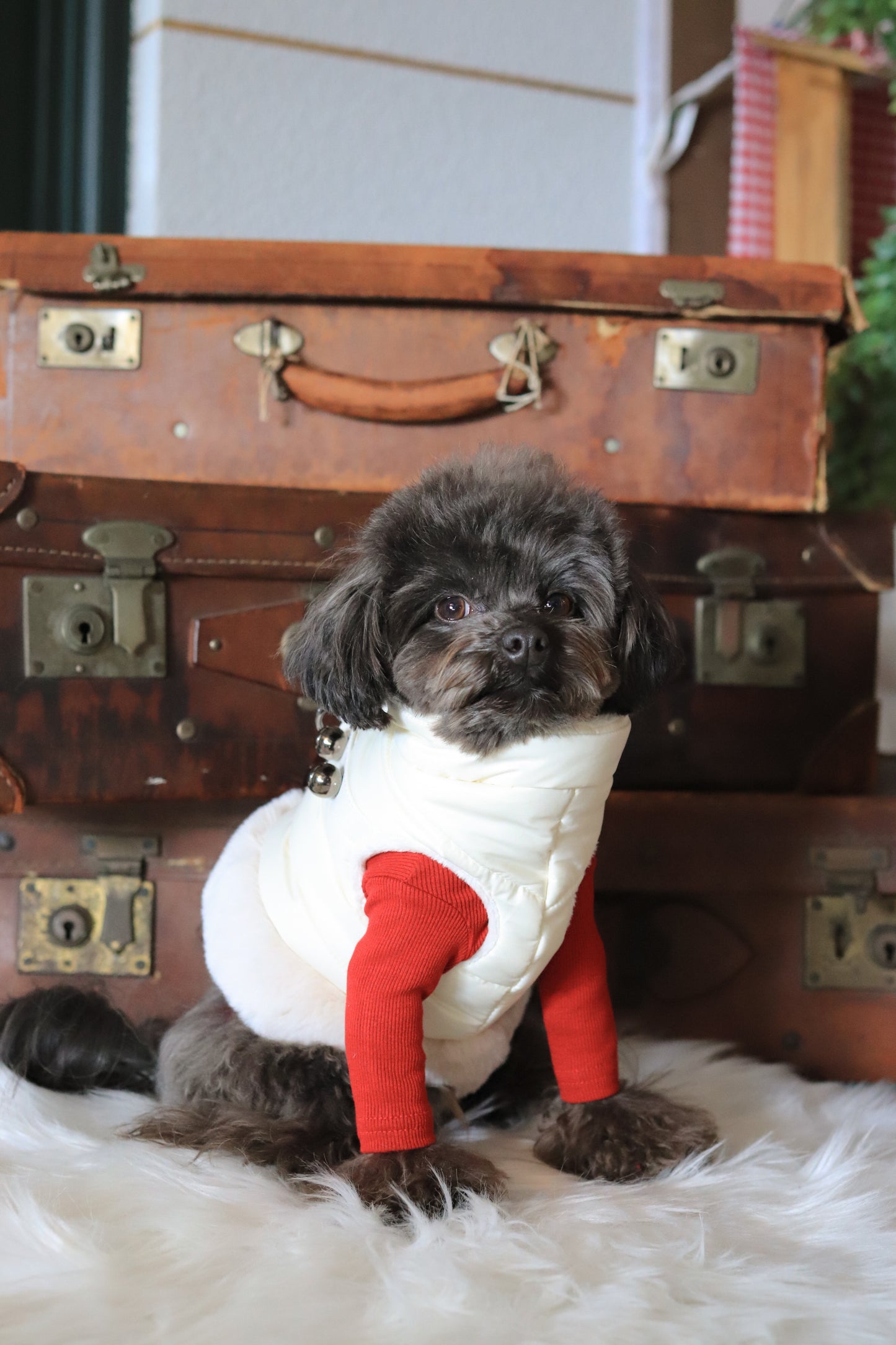 PUFFER HARNESS WITH STUDS