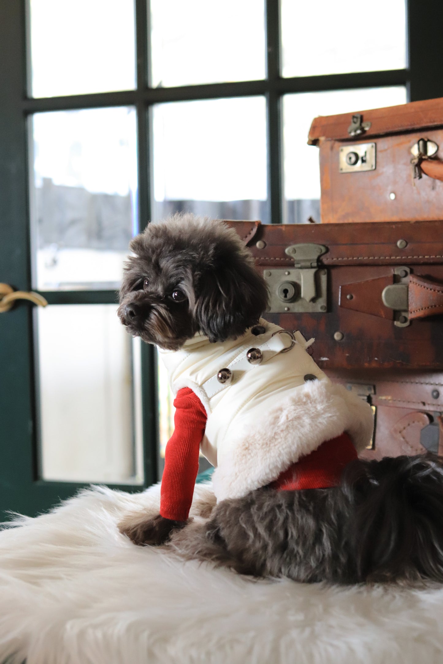 PUFFER HARNESS WITH STUDS