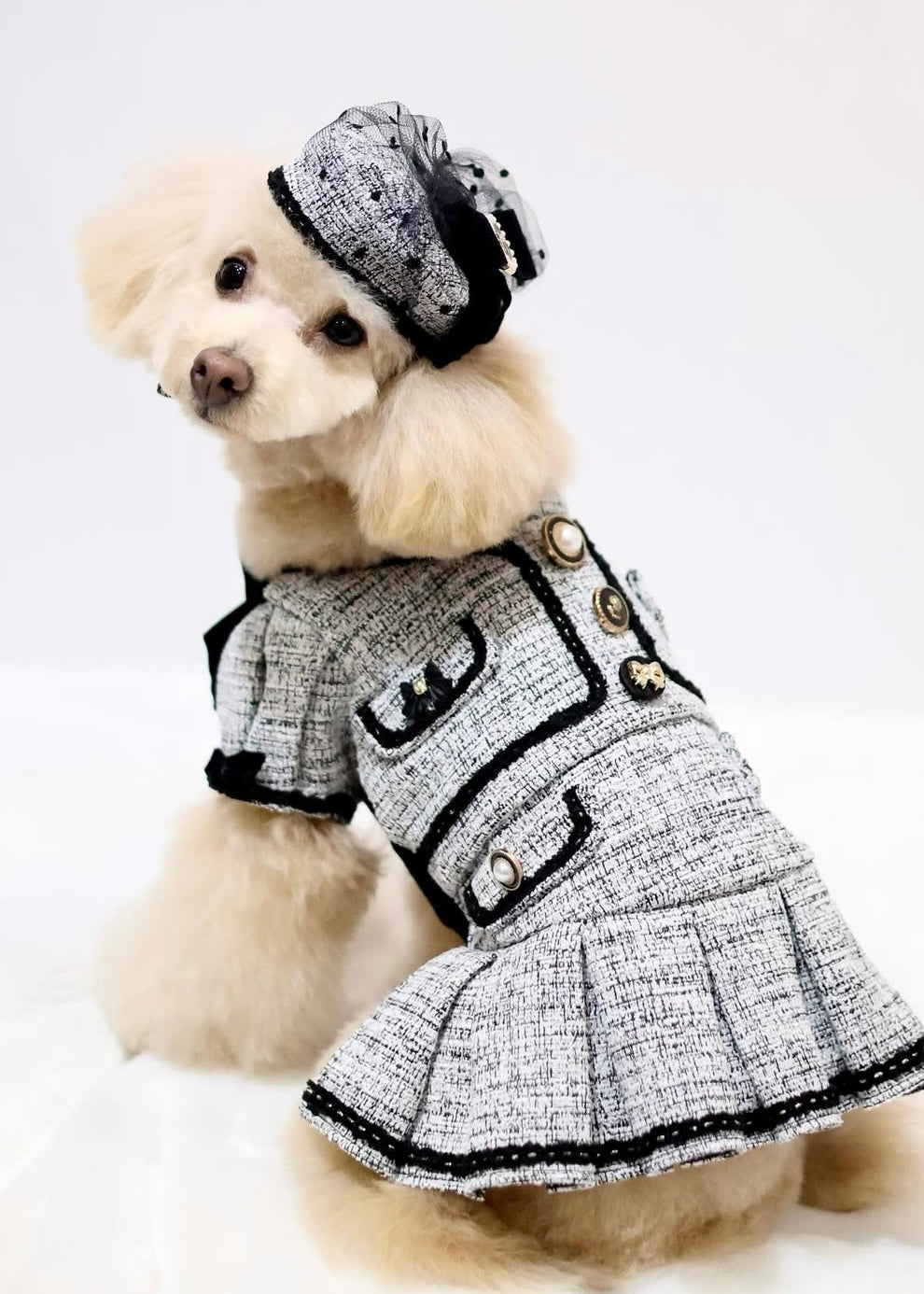 Maison Classic ワンピース(10月上旬入荷予定)