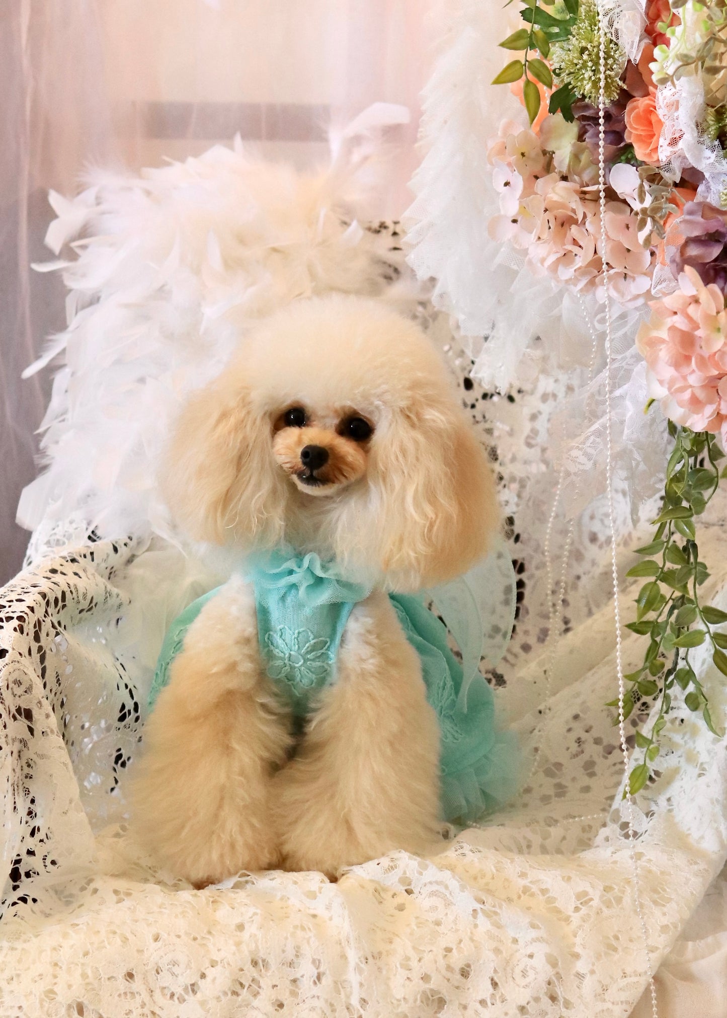 FAIRY TALE(Mint,Violet)