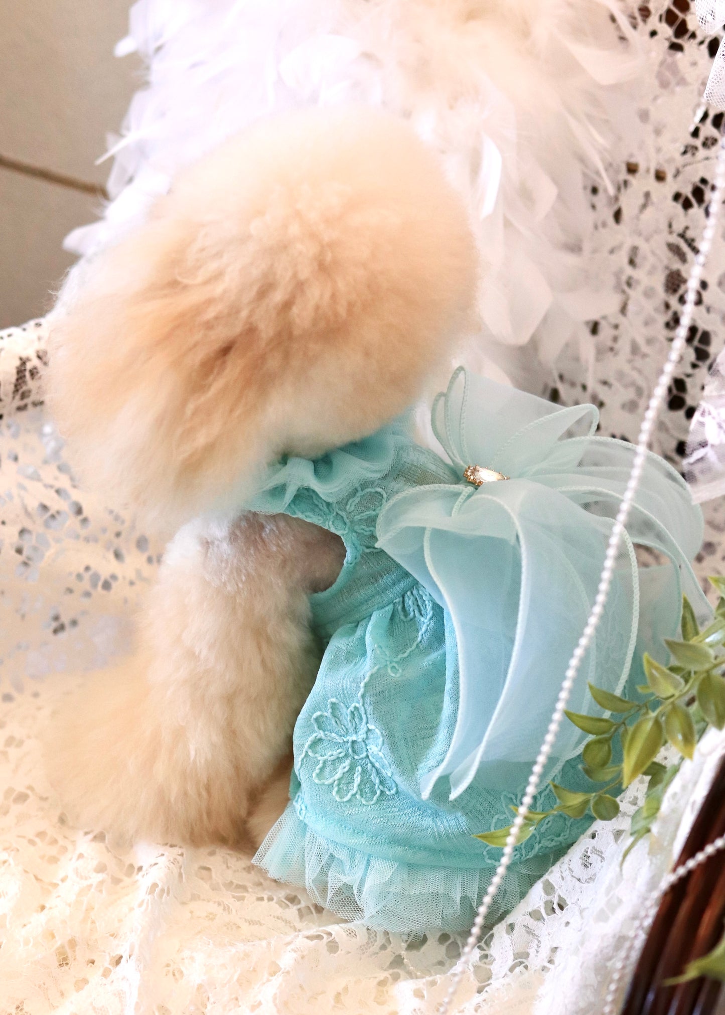 FAIRY TALE(Mint,Violet)
