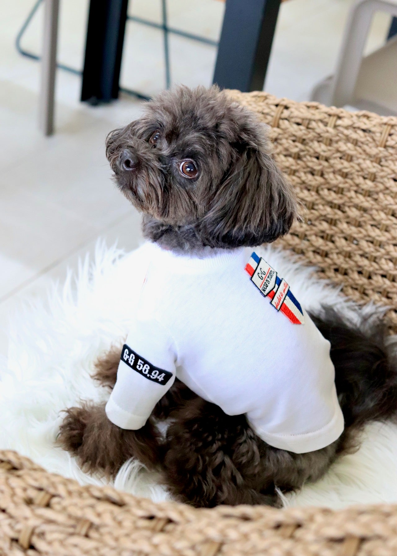 ヴィンテージエンブレムTシャツ