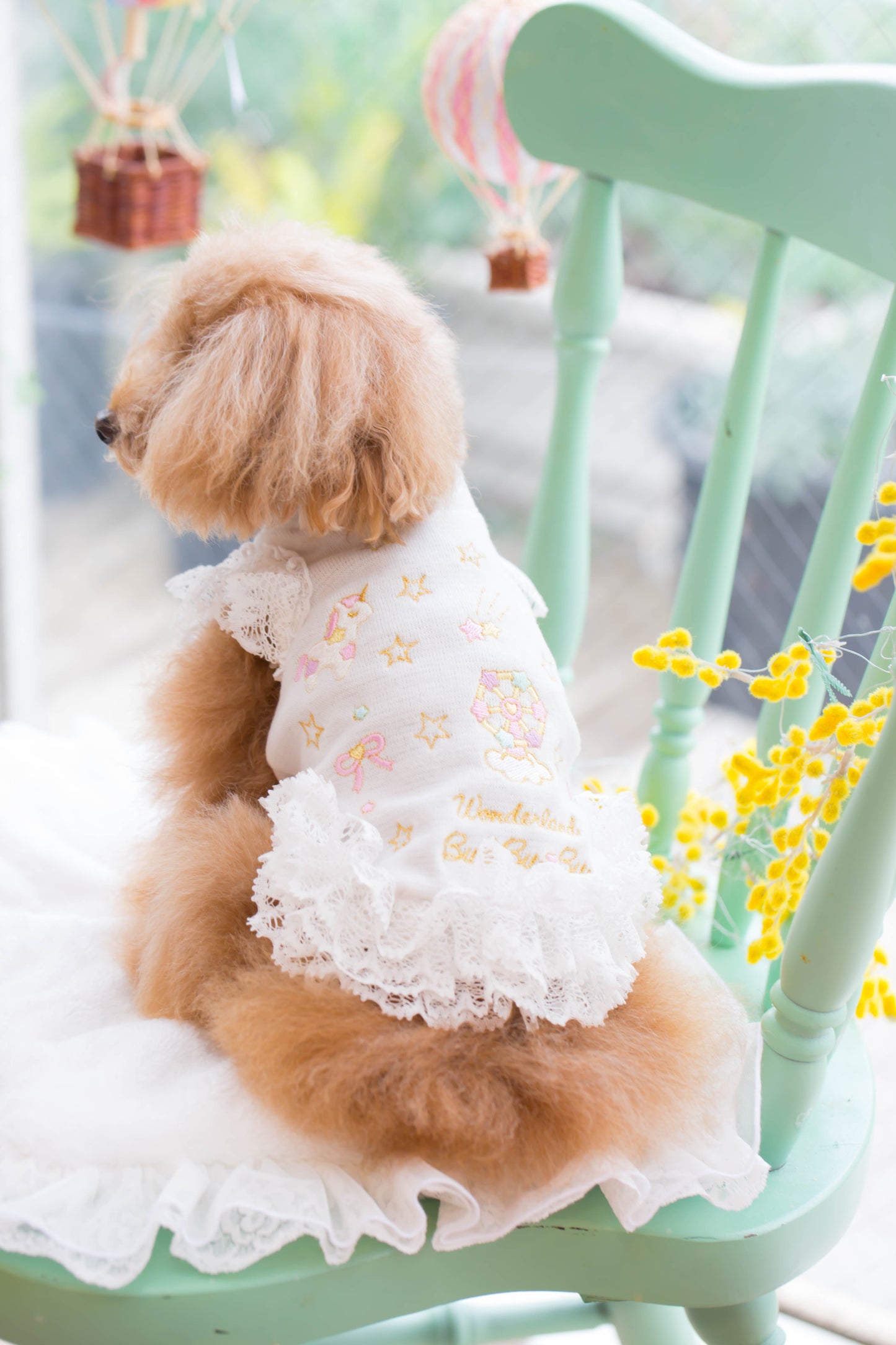 WANDERLAND CAMI