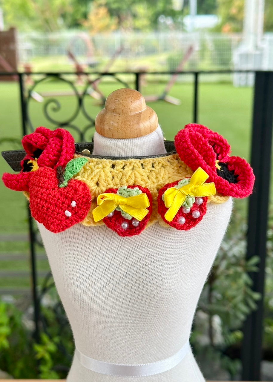 CountryCollar