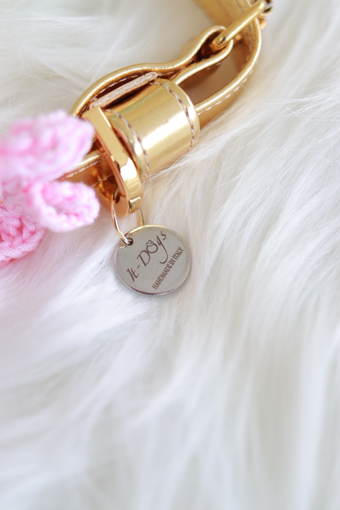 DaisyCollar