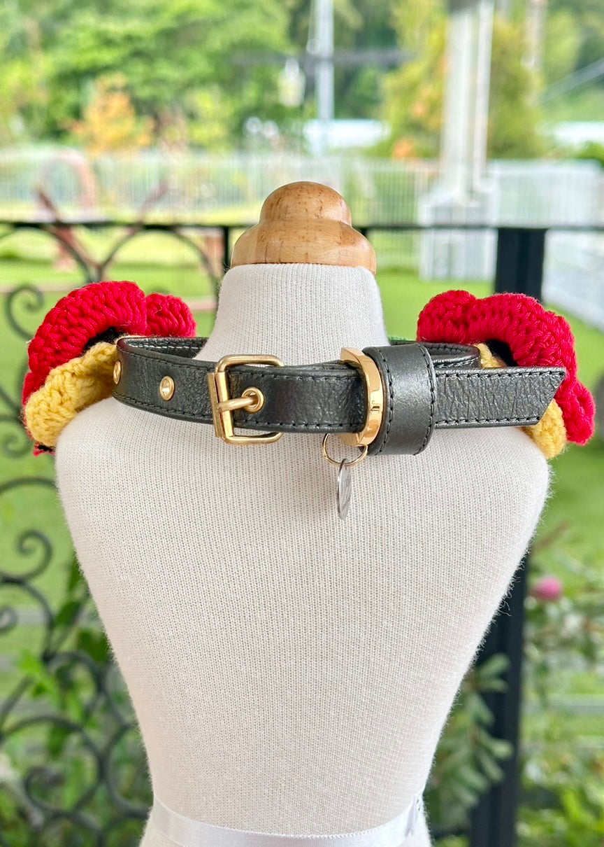 CountryCollar