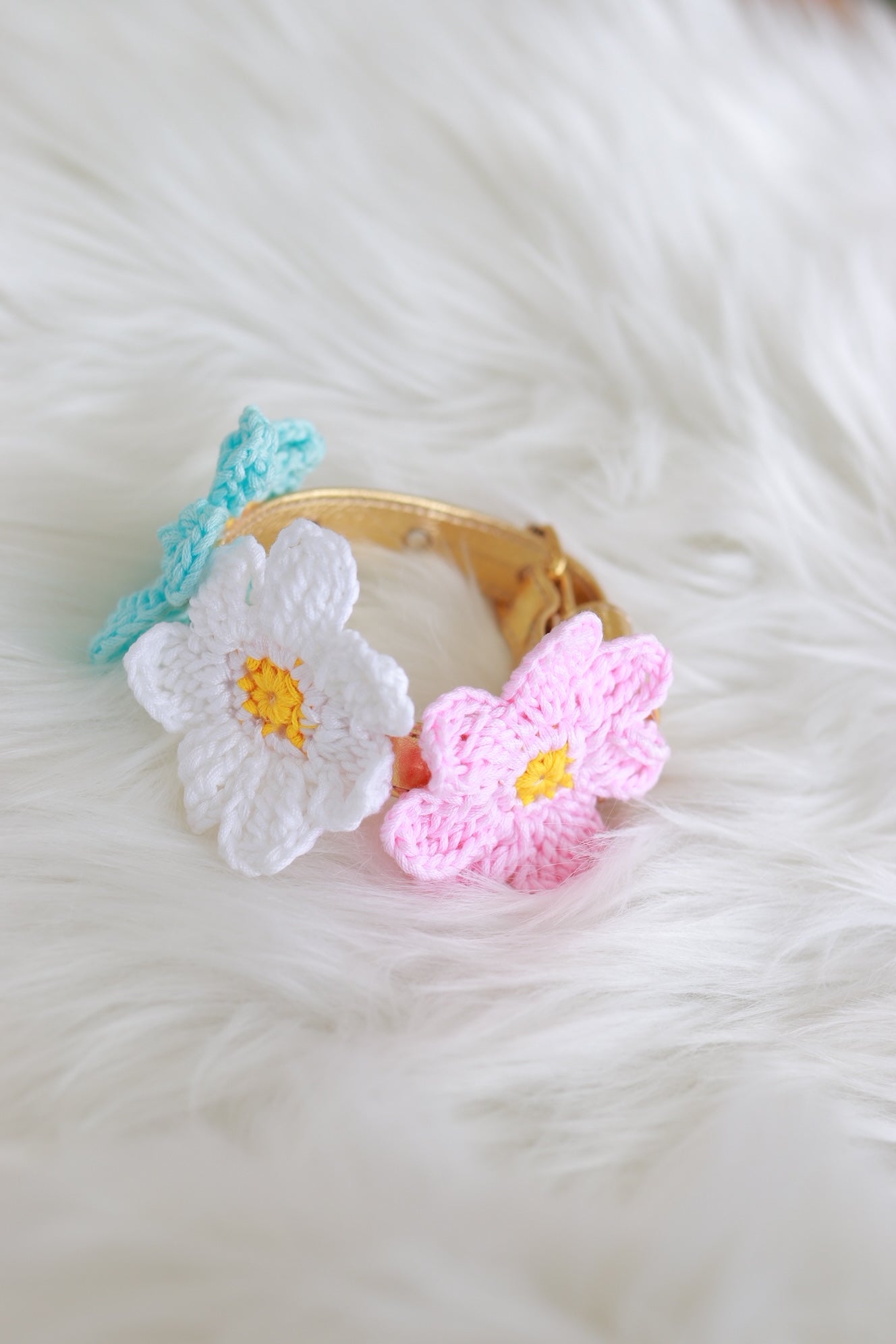 DaisyCollar