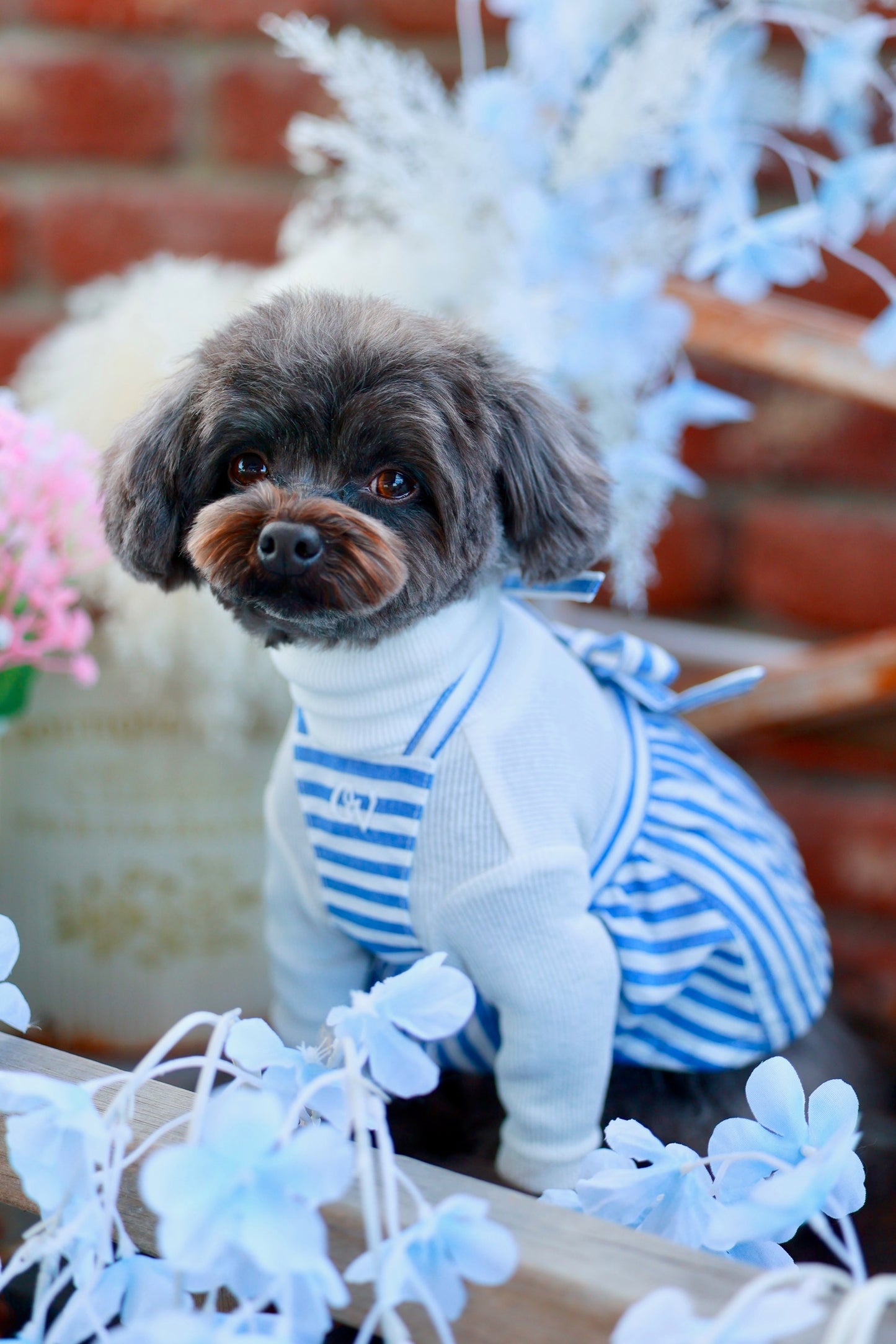 リトルシェフズエプロン