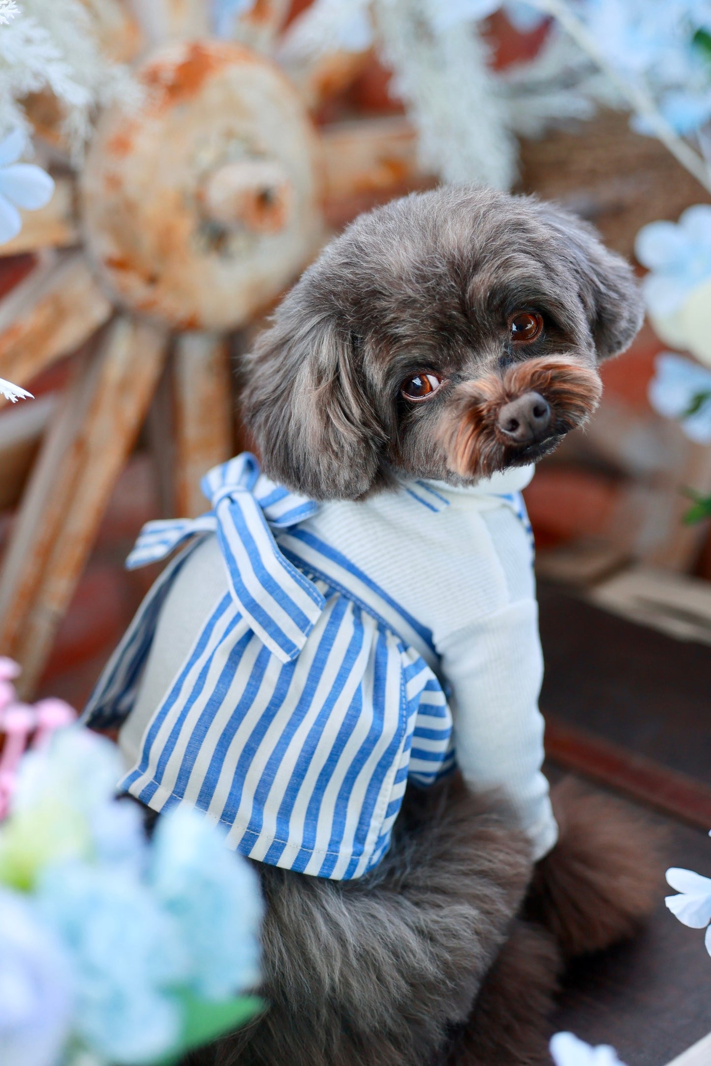 リトルシェフズエプロン