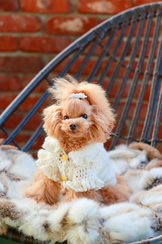 スノークリーム