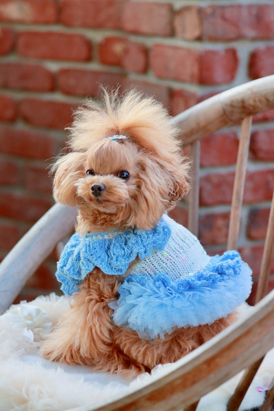 エレガントチュチュワンピ