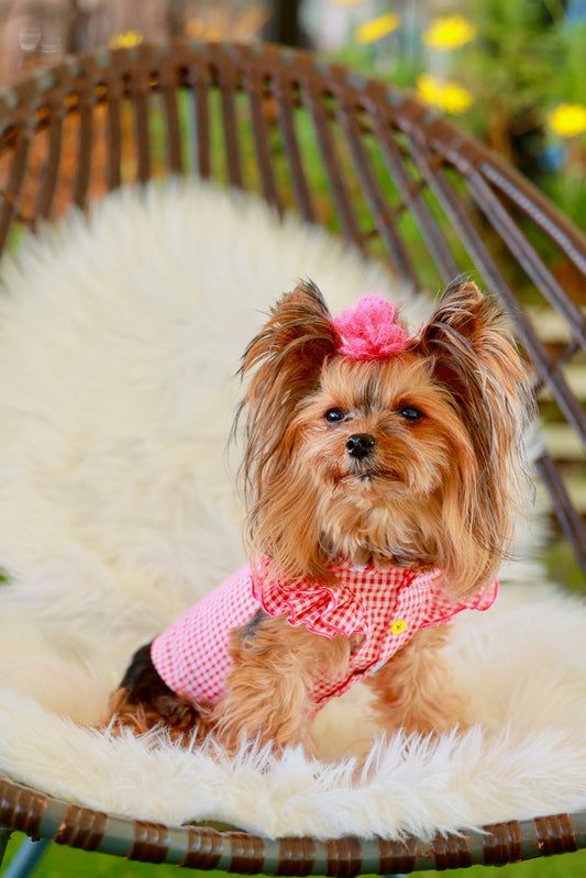 フリルスリーブブラウス