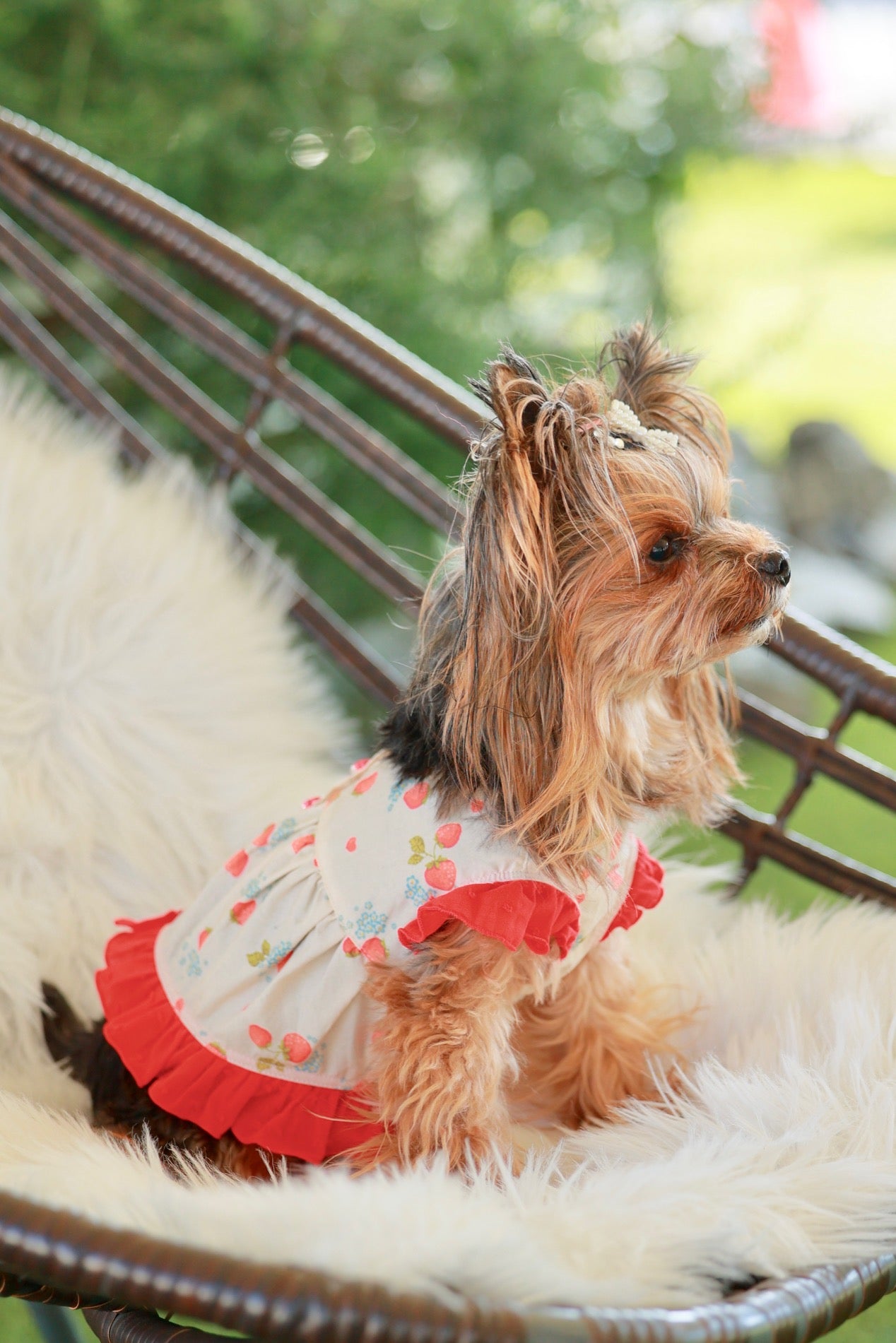 ピニーエプロンドレス