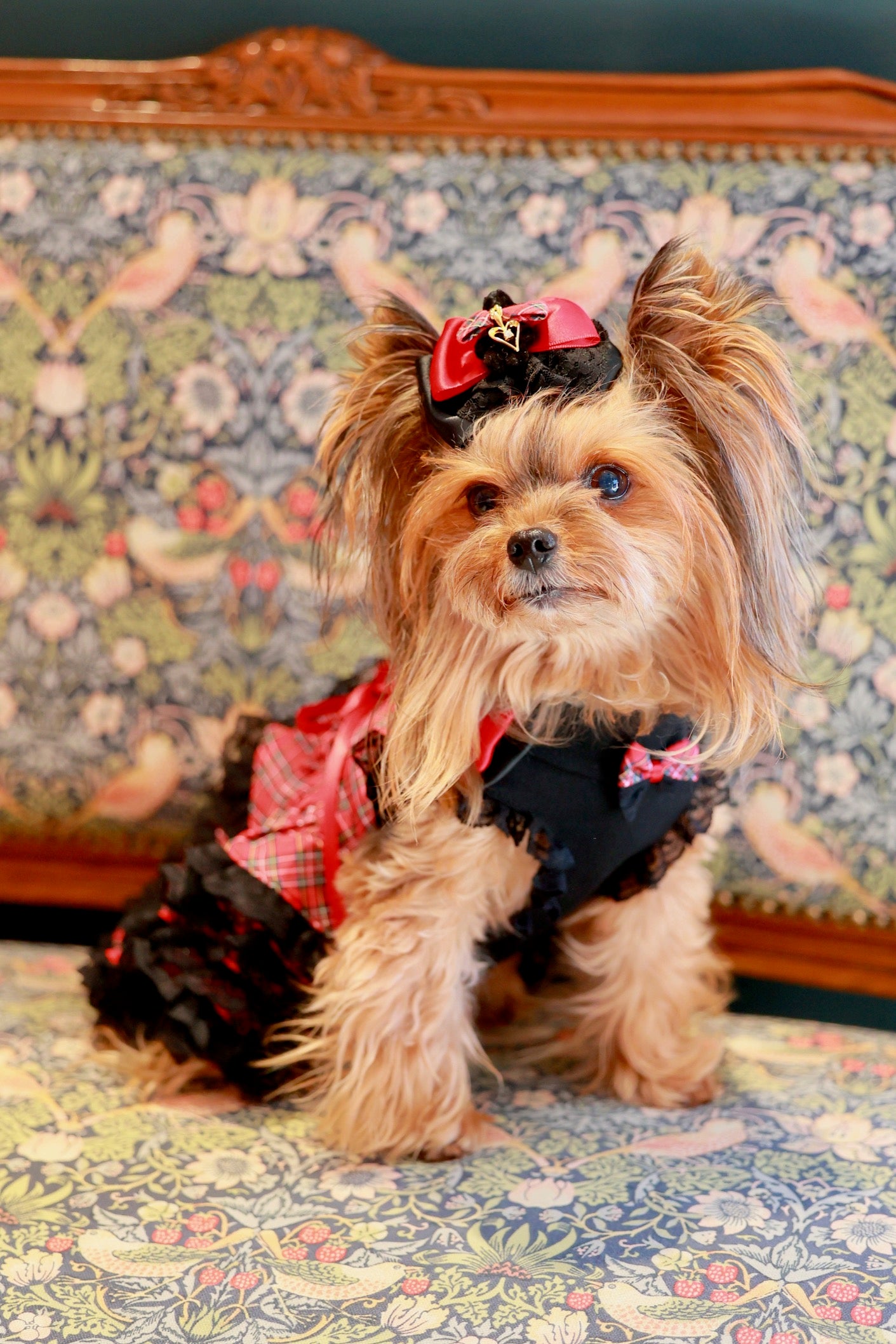 タータンチェックブラックベアーワンピース