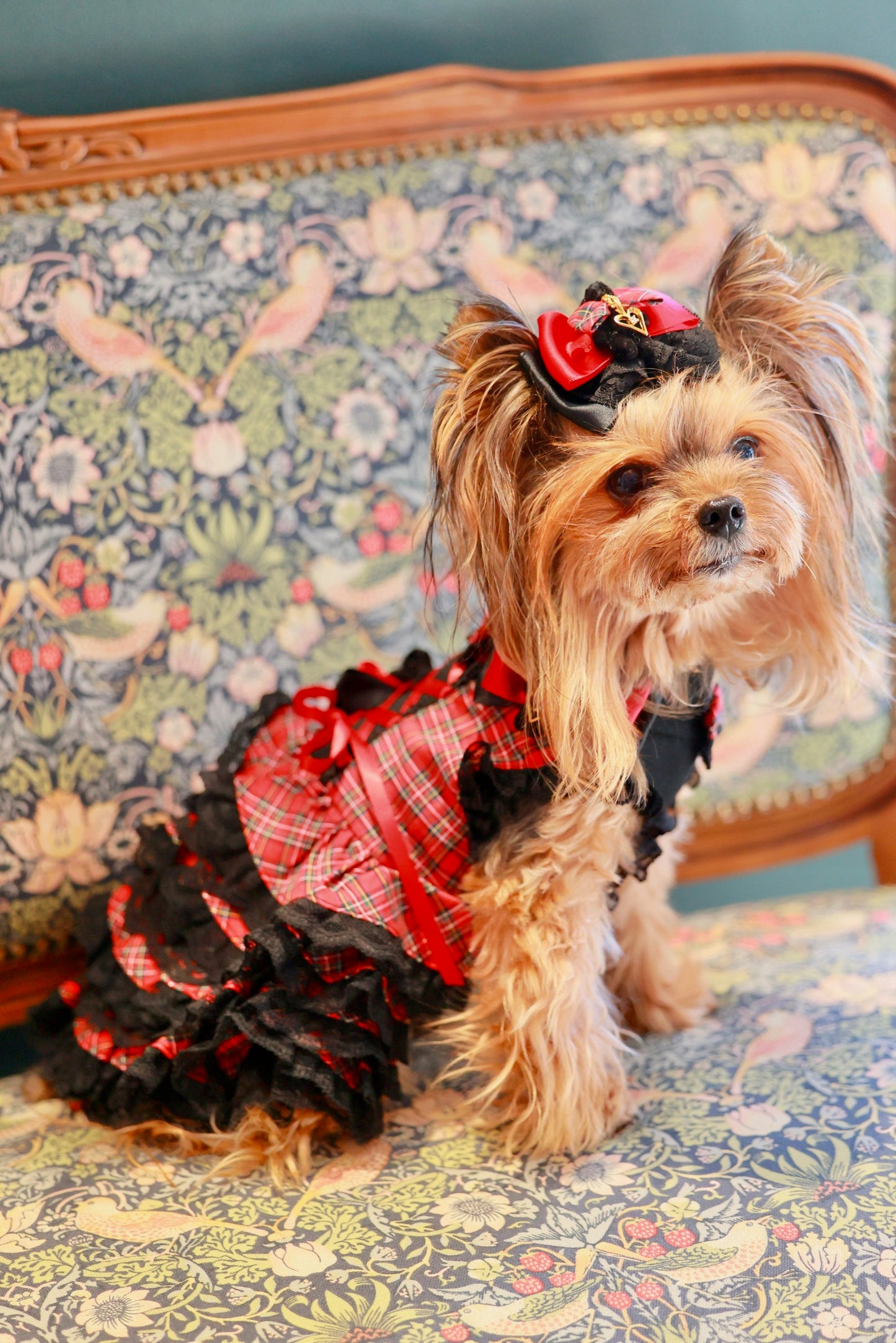 タータンチェックブラックベアーワンピース