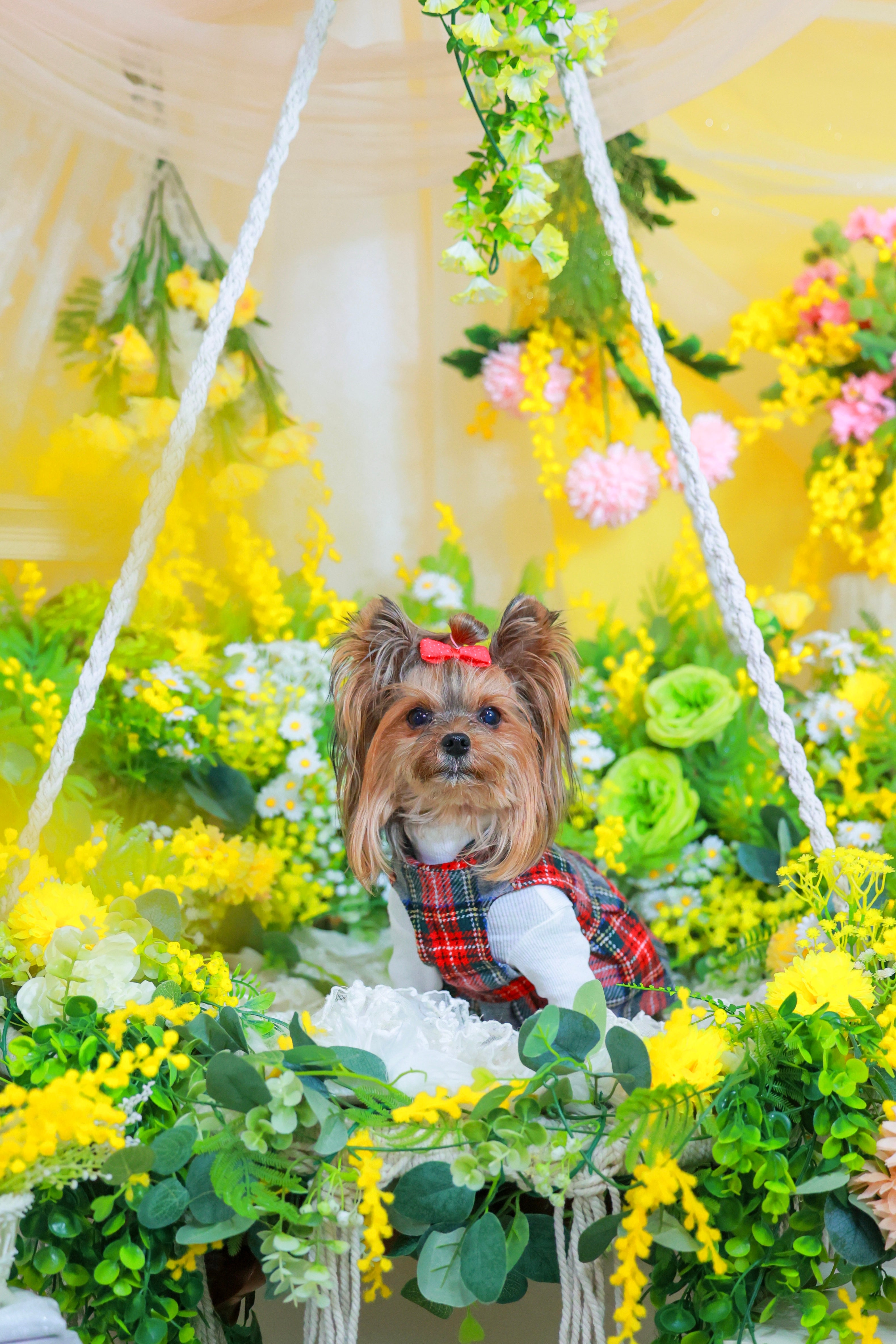 glee green garden – glee green garden online