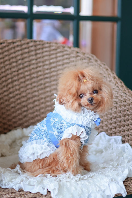 COOLデニムチュールツイードハーネス