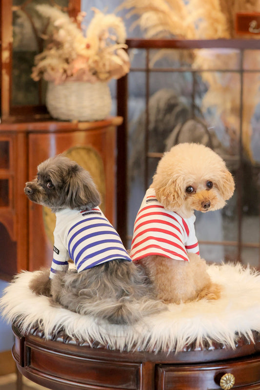 Paris 6e ボトルネックボーダーＴシャツ