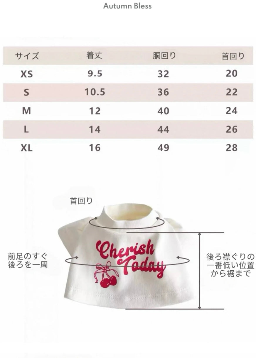 チェリーTシャツ＆デニムスカート＆リボンヘアピン