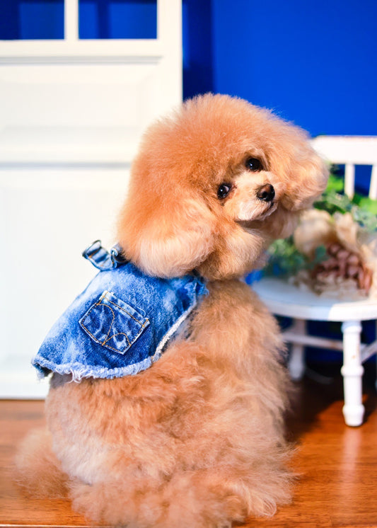 DENIM HARNESS VEST