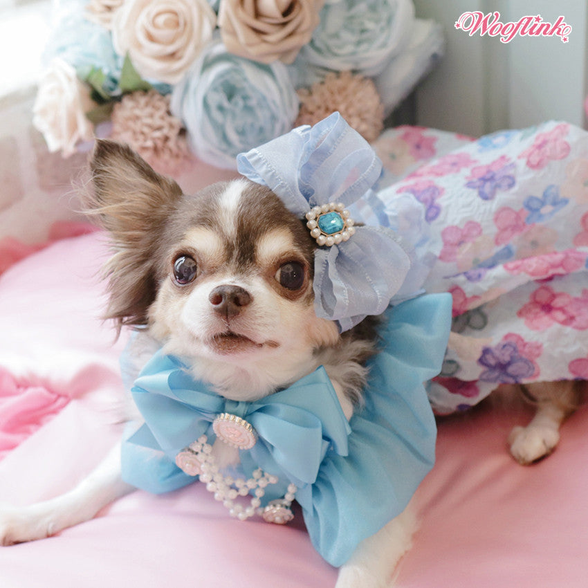 BUBBLE GUM DRESS